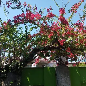 Casa Joaquin Bed & Breakfast